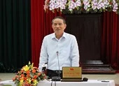 Bí thư Đà Nẵng nói về đầu tư trường đua ngựa, đua chó