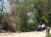 Cò đất náo loạn miền Trung: Bờ tre, gốc rạ đổi ra tiền tỉ