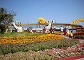 Trẩy hội 'cầu Vàng' bên đường hoa Xuân Đà Nẵng