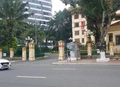 Đà Nẵng yêu cầu cán bộ không gặp mặt chúc Tết lãnh đạo