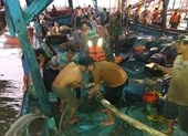 51 thuyền viên gặp nạn trên biển