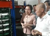 Thịt đông lạnh kém chất lượng 'canh me' tuồn ra thị trường