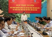 Bão số 5 vừa suy yếu thì có nguy cơ thêm cơn bão mới
