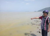 Nguyên nhân nước biển ở Huế xuất hiện màu vàng