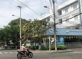 Công bố kết luận sai phạm đất đai tại Đà Nẵng