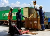 Đà Nẵng đón những lô hàng ươm tạo công nghệ cao đầu tiên