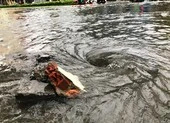 Đà Nẵng: Hàng loạt tuyến đường bị ngập chìm vì ảnh hưởng bão