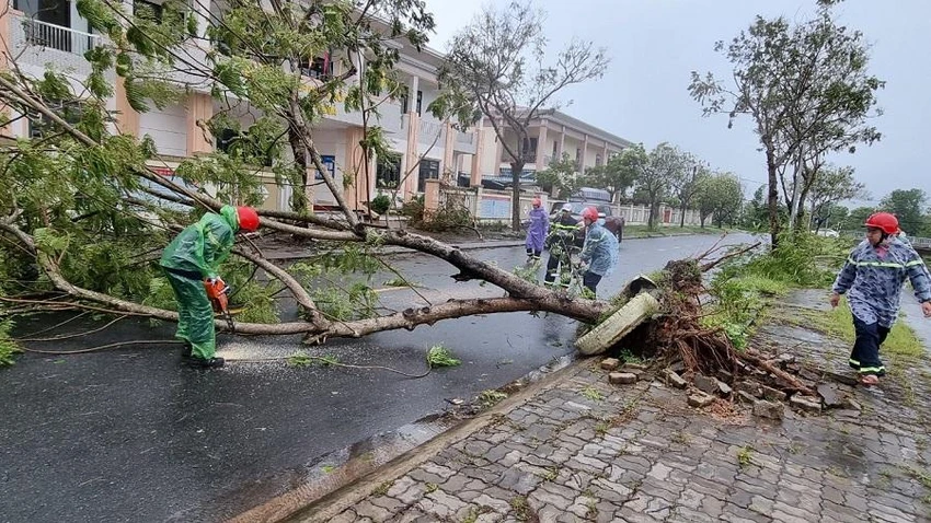 Cây xanh ngã đổ tại huyện Hòa Vang, Đà Nẵng. Ảnh: TẤN VIỆT Cây xanh ngã đổ tại huyện Hòa Vang, Đà Nẵng. Ảnh: TẤN VIỆT