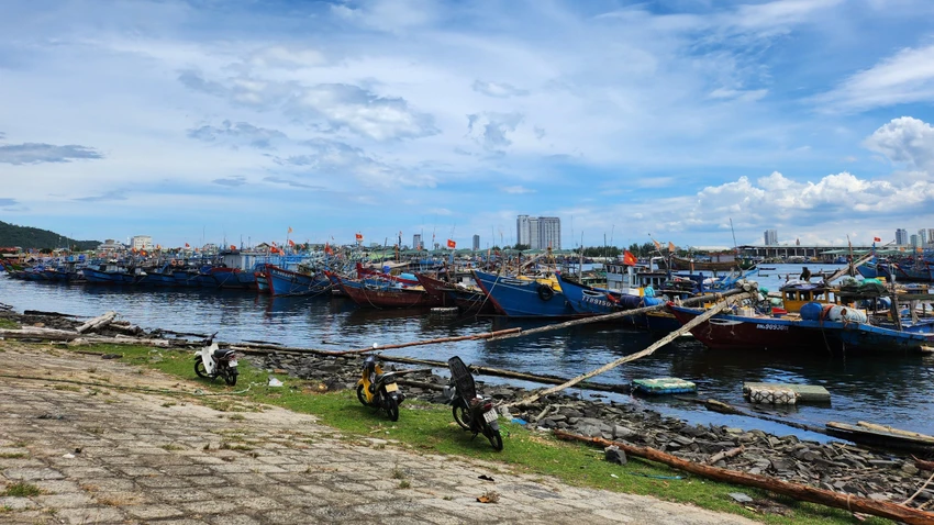 sản lượng thủy sản đà nẵng
