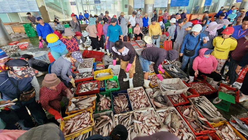 khai-thac-iuu-an-le-hinh-su-hoa-2.jpg