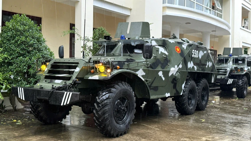 bao-tra-mi-da-nang-6.jpg