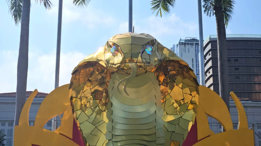 linh-vat-ran-da-nang-1.jpg