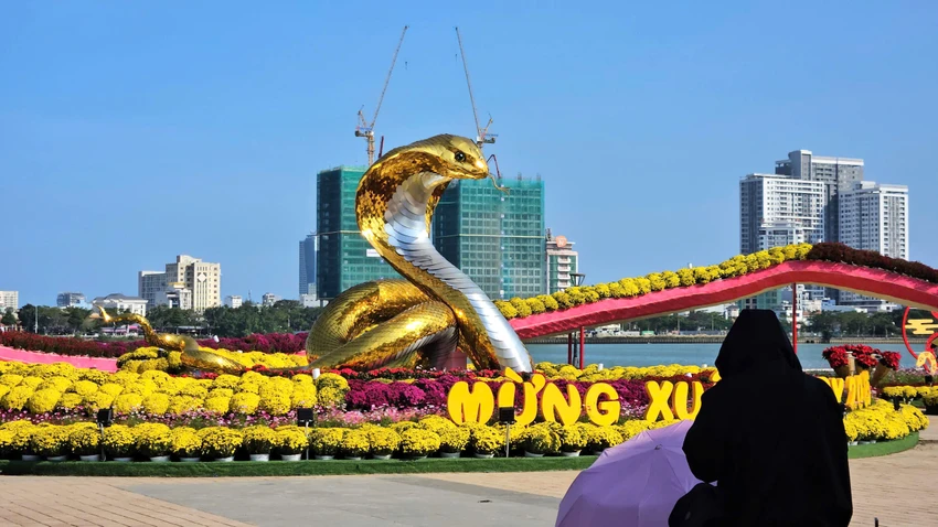 linh-vat-ran-da-nang-5.jpg