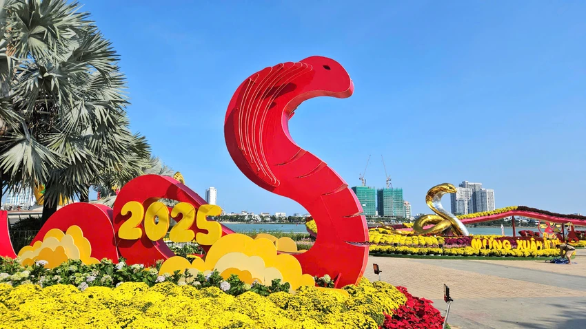 linh-vat-ran-da-nang-6.jpg