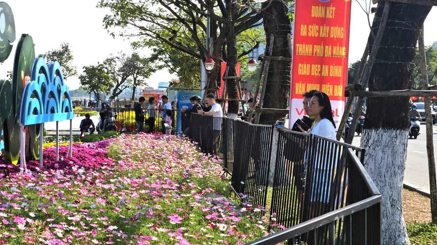 linh-vat-ran-da-nang-8.jpg
