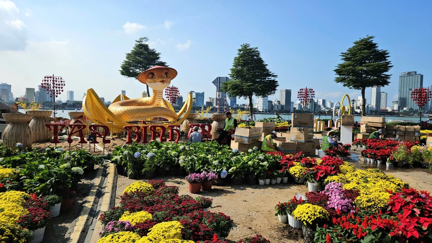 linh-vat-ran-da-nang-9.jpg