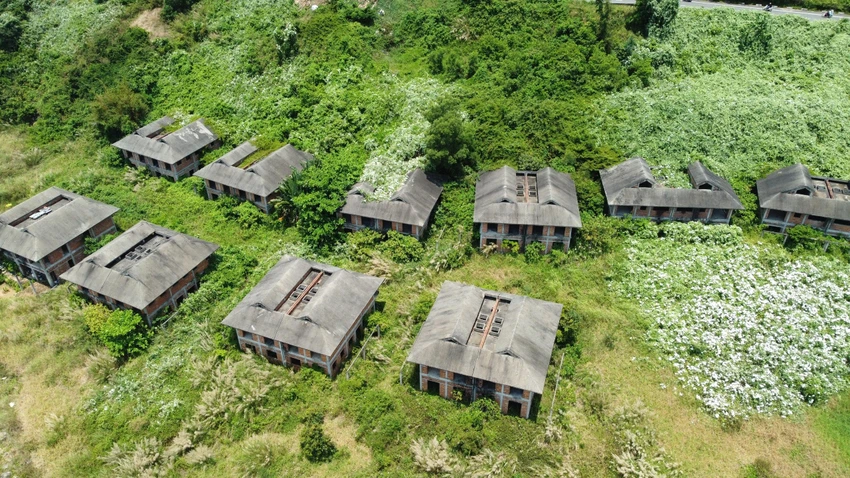 ban-dao-son-tra-1.jpg