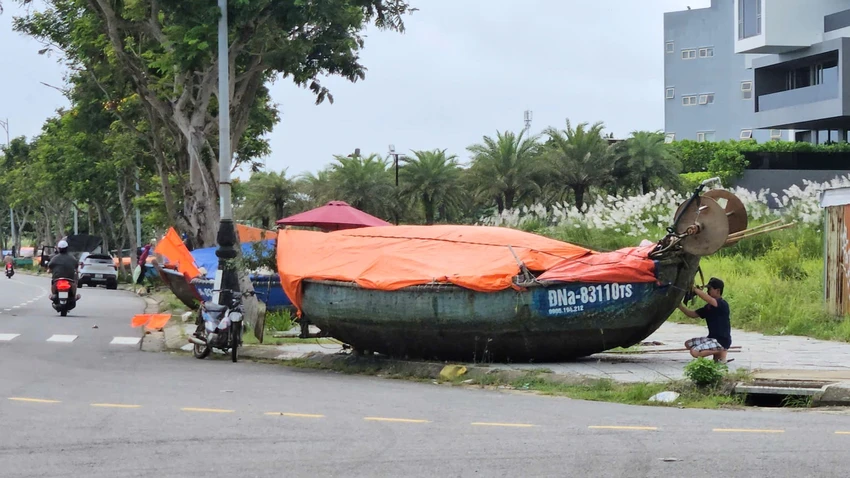 bão số 12