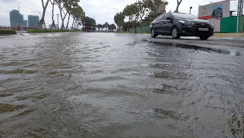 bão số 12