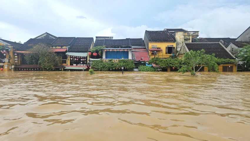 chủ tịch đà nẵng