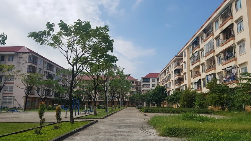 da-nang-1.jfif.jpg
