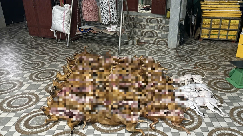 1000039424.jpg