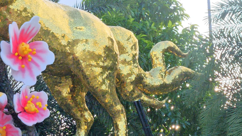 linh-vat-ngua-5.jpg