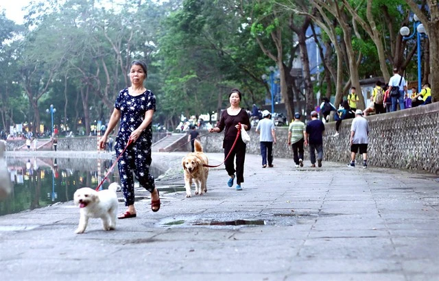 bệnh dại.jpg