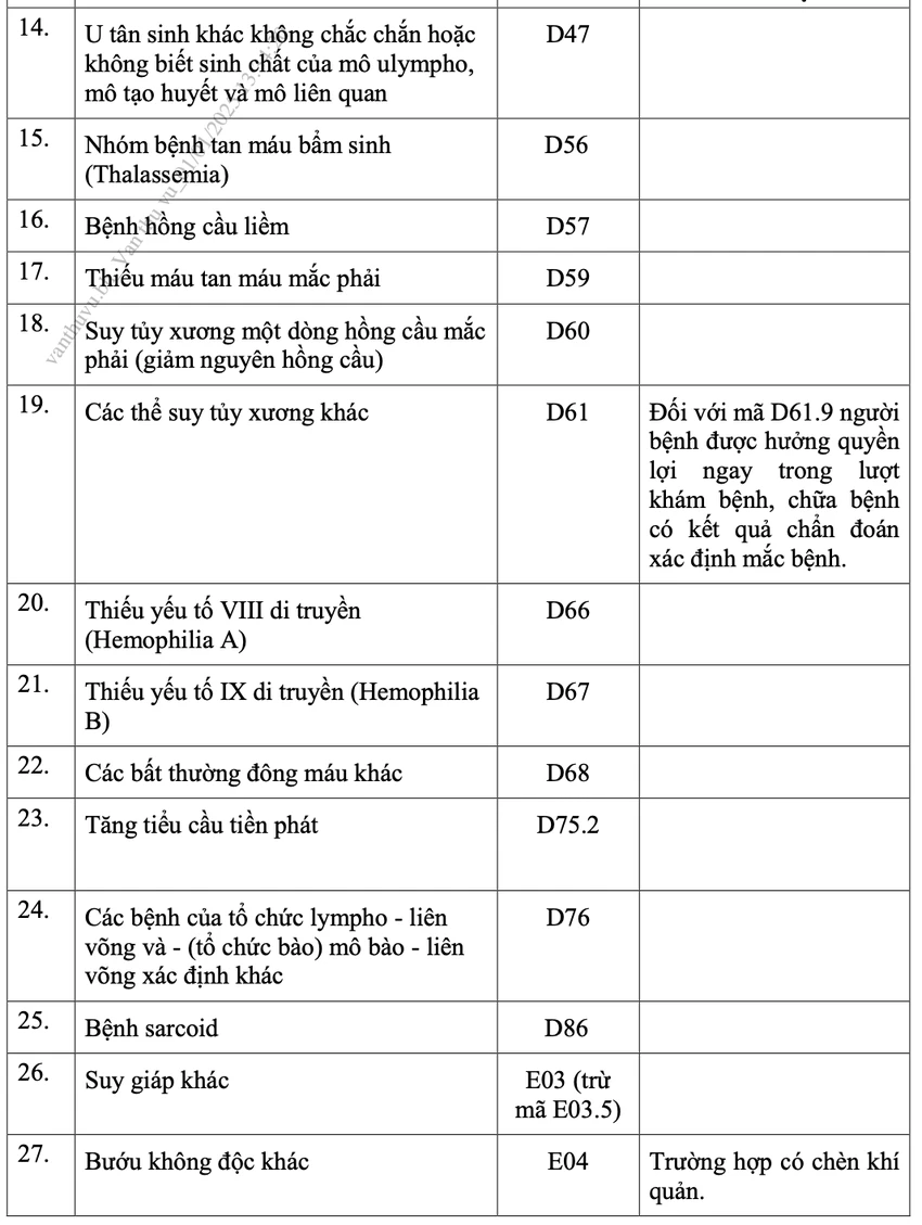 giấy chuyển tuyến 01.png