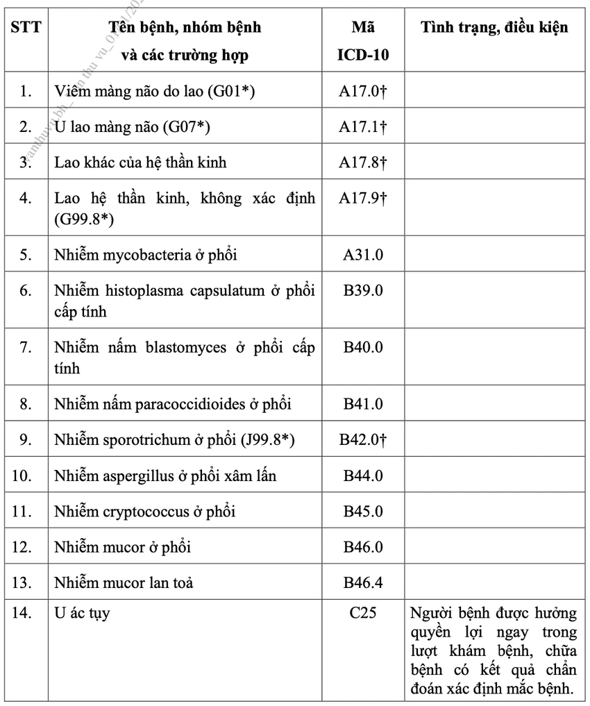 giấy chuyển tuyến