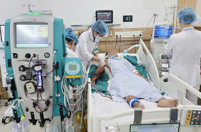 bị rắn cắn