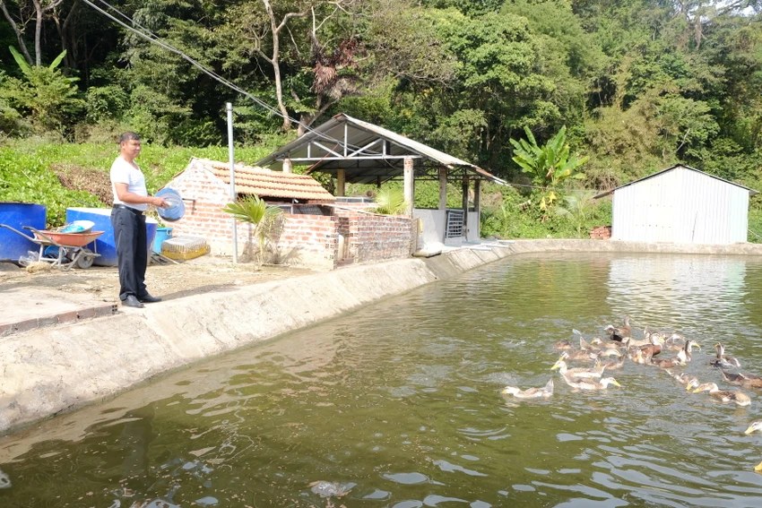 hòn khoai 1.JPG