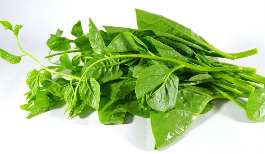 rau mồng tơi.jpg