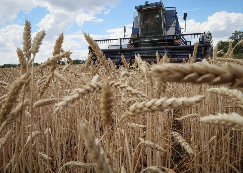 Nga nói thỏa thuận ngũ cốc Ukraine không đủ cho các nước đói nghèo. Ảnh: Gleb Garanich/REUTERS Nga nói thỏa thuận ngũ cốc Ukraine không đủ cho các nước đói nghèo. Ảnh: Gleb Garanich/REUTERS
