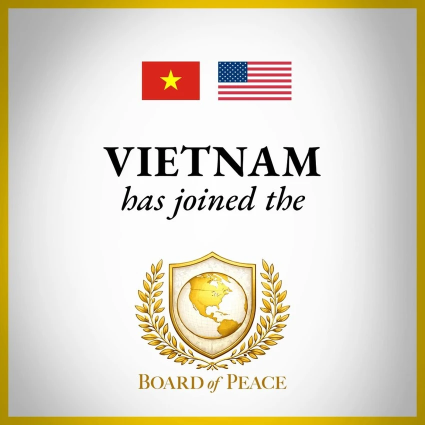 hội đồng hòa bình.jpg