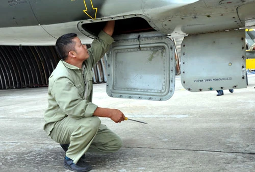 Không quân Việt Nam luyện tập với máy bay L39 ảnh 4 bay1_1379589995.jpg