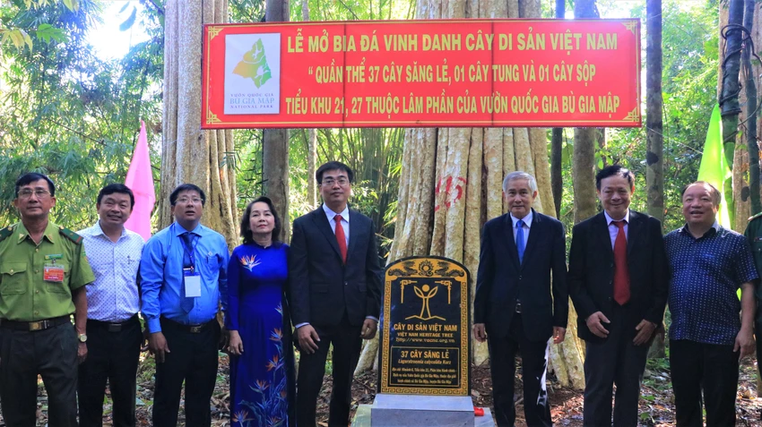 Các đại biểu mở bia đá vinh danh cây Di sản tại Vườn quốc gia Bù Gia Mập. 