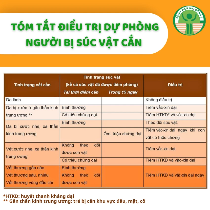 mèo cắn