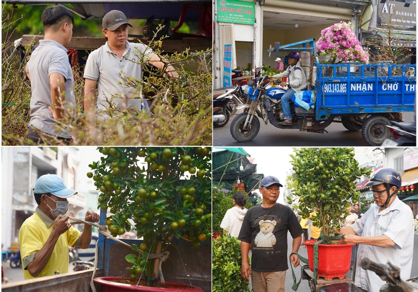 TP.HCM: Chợ hoa xuân 'trên bến dưới thuyền' tất bật mua bán những ngày giáp Tết