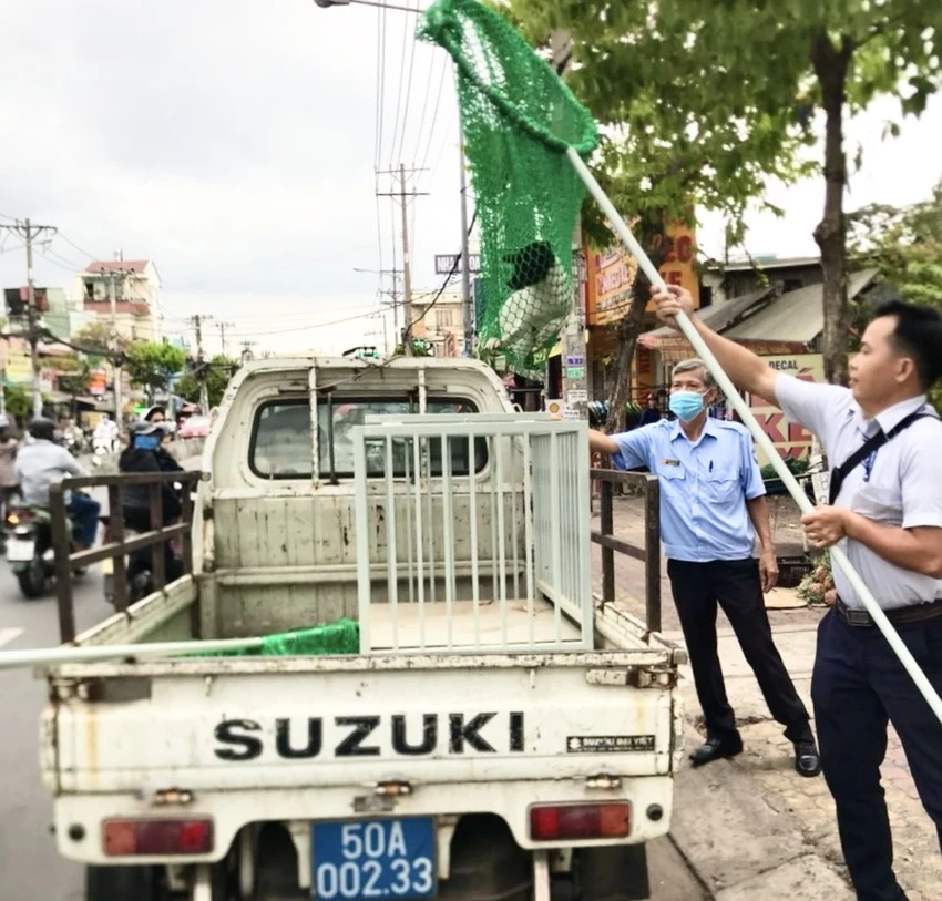 đội bắt chó thả rông.jpg