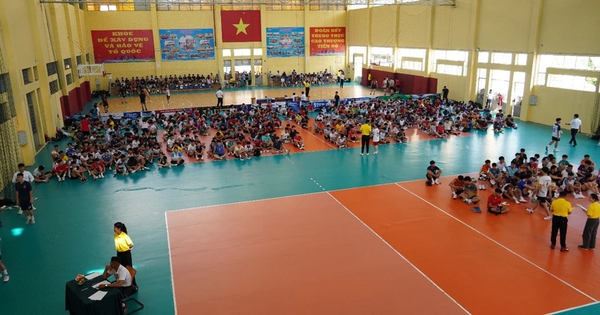 TT6.jpg