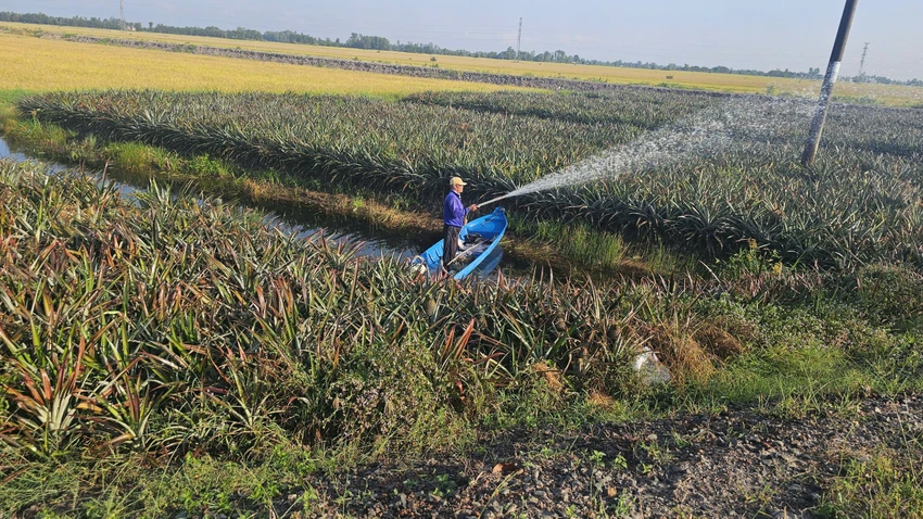BHXH tự nguyện