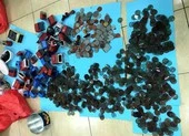 Ổ làm giả giấy tờ có hơn 1500 con dấu các trường, cơ quan...