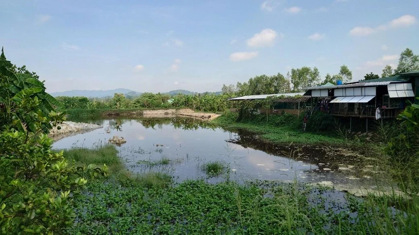 Hồ chứa nước trong trang trại Huỳnh Gia Phúc. Ảnh: Sở TN&MT Đồng Nai. Hồ chứa nước trong trang trại Huỳnh Gia Phúc. Ảnh: Sở TN&MT Đồng Nai.