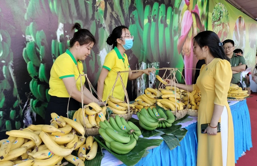 Năm 2022, Đồng Nai đã xuất khẩu trên 400.000 tấn chuối. Ảnh: VH. Năm 2022, Đồng Nai đã xuất khẩu trên 400.000 tấn chuối. Ảnh: VH.
