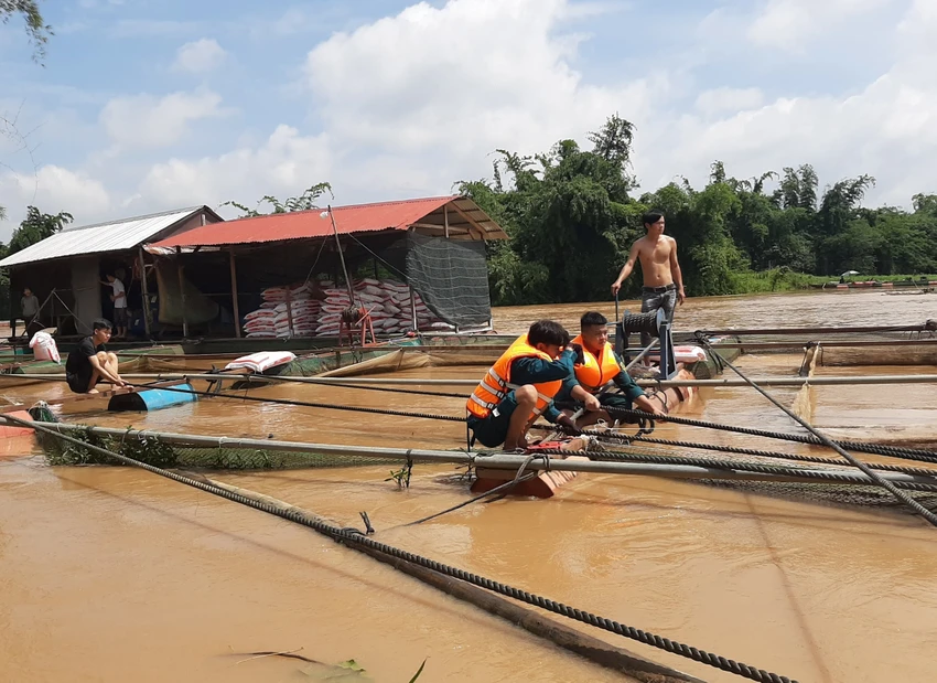 Nước lũ dâng cao khiến người nuôi cá bè lo lắng. Ảnh: VH. Nước lũ dâng cao khiến người nuôi cá bè lo lắng. Ảnh: VH.
