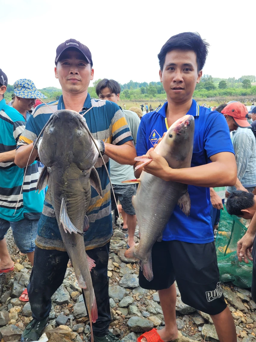 bắt - cá - 3.jpg
