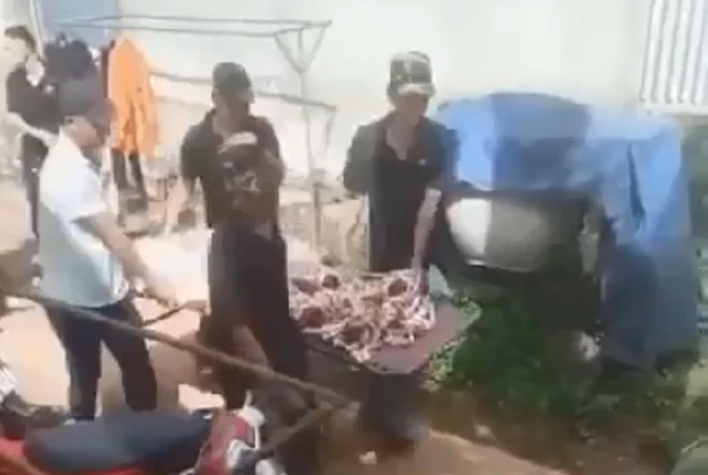 án - mạng.jpg