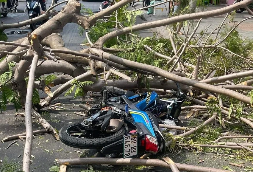 đường hoa.jpg