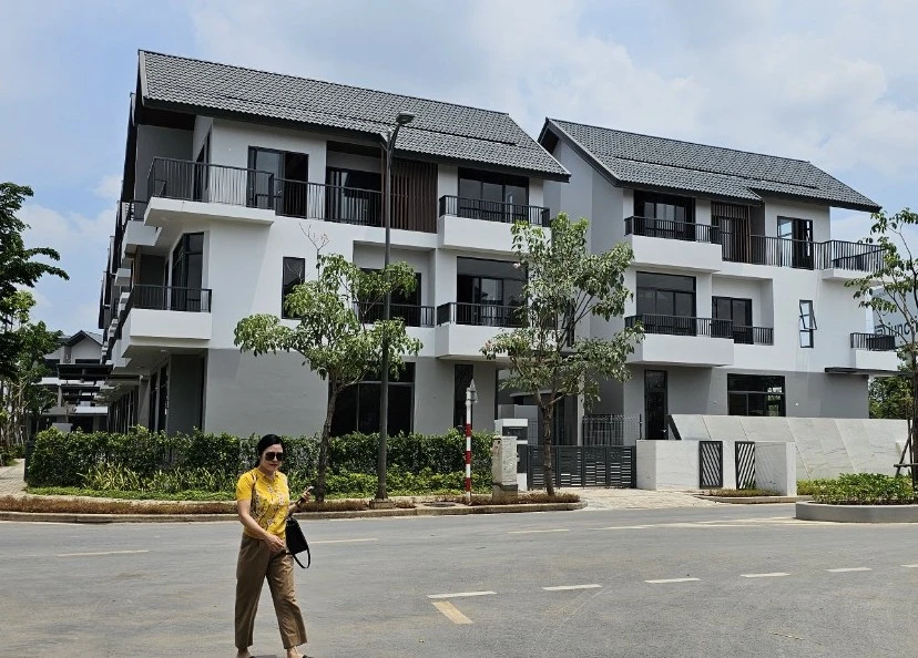 dự án 13.jpg